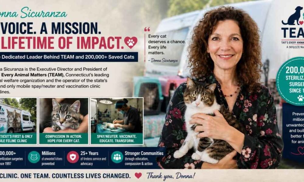 Donna Sicuranza 2026: The Inspiring Story of the Woman Behind TEAM and 200,000 Saved Cats