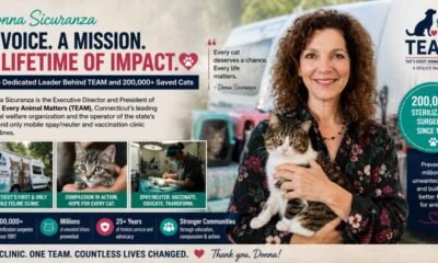 Donna Sicuranza 2026: The Inspiring Story of the Woman Behind TEAM and 200,000 Saved Cats