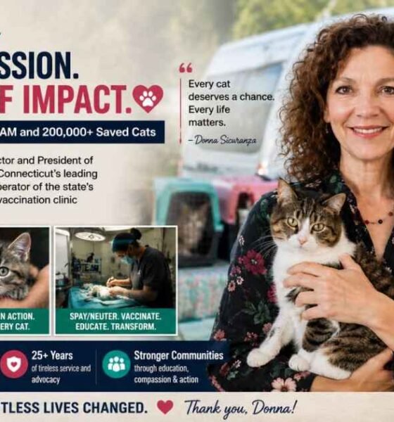 Donna Sicuranza 2026: The Inspiring Story of the Woman Behind TEAM and 200,000 Saved Cats