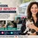 lily allen nude Donna Sicuranza 2026: The Inspiring Story of the Woman Behind TEAM and 200,000 Saved Cats