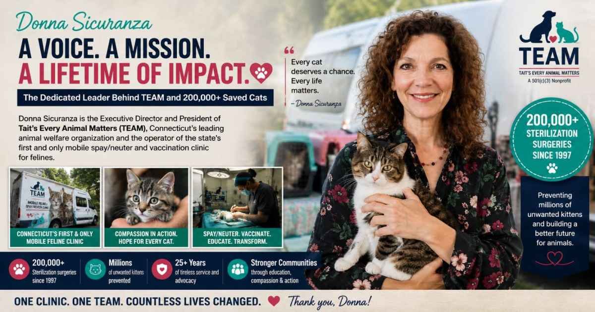 lily allen nude Donna Sicuranza 2026: The Inspiring Story of the Woman Behind TEAM and 200,000 Saved Cats