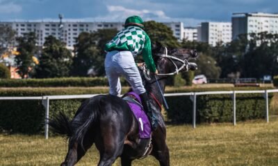 skibidi rizz horse