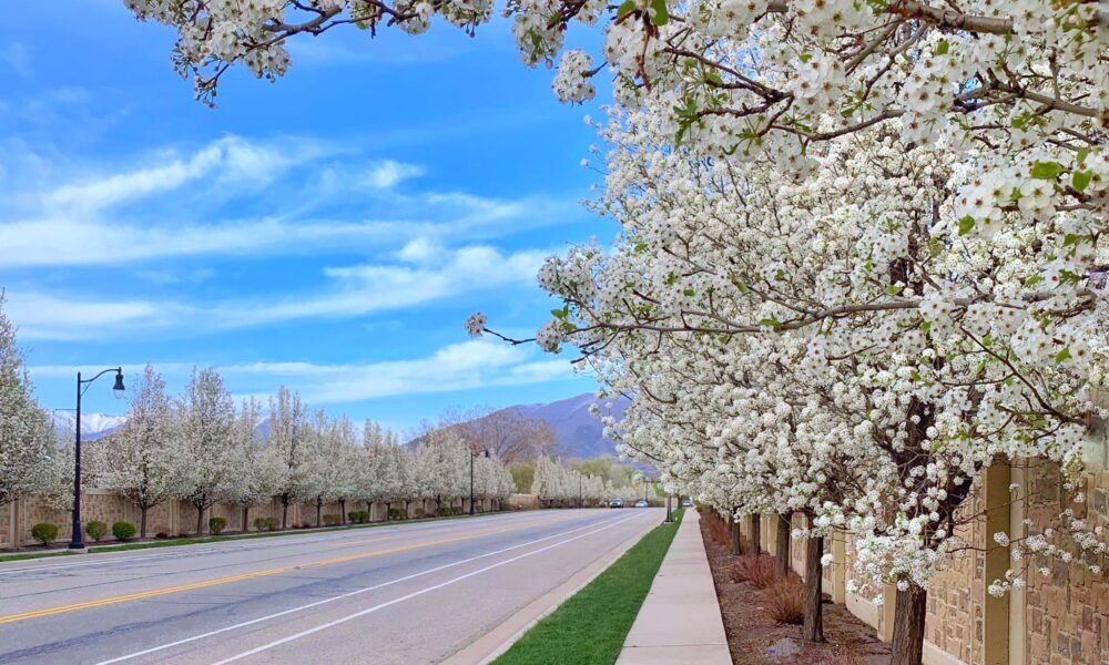 best places to visit in spring