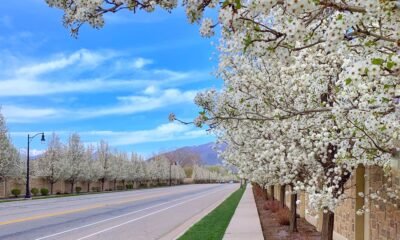 best places to visit in spring