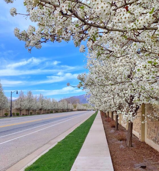 best places to visit in spring