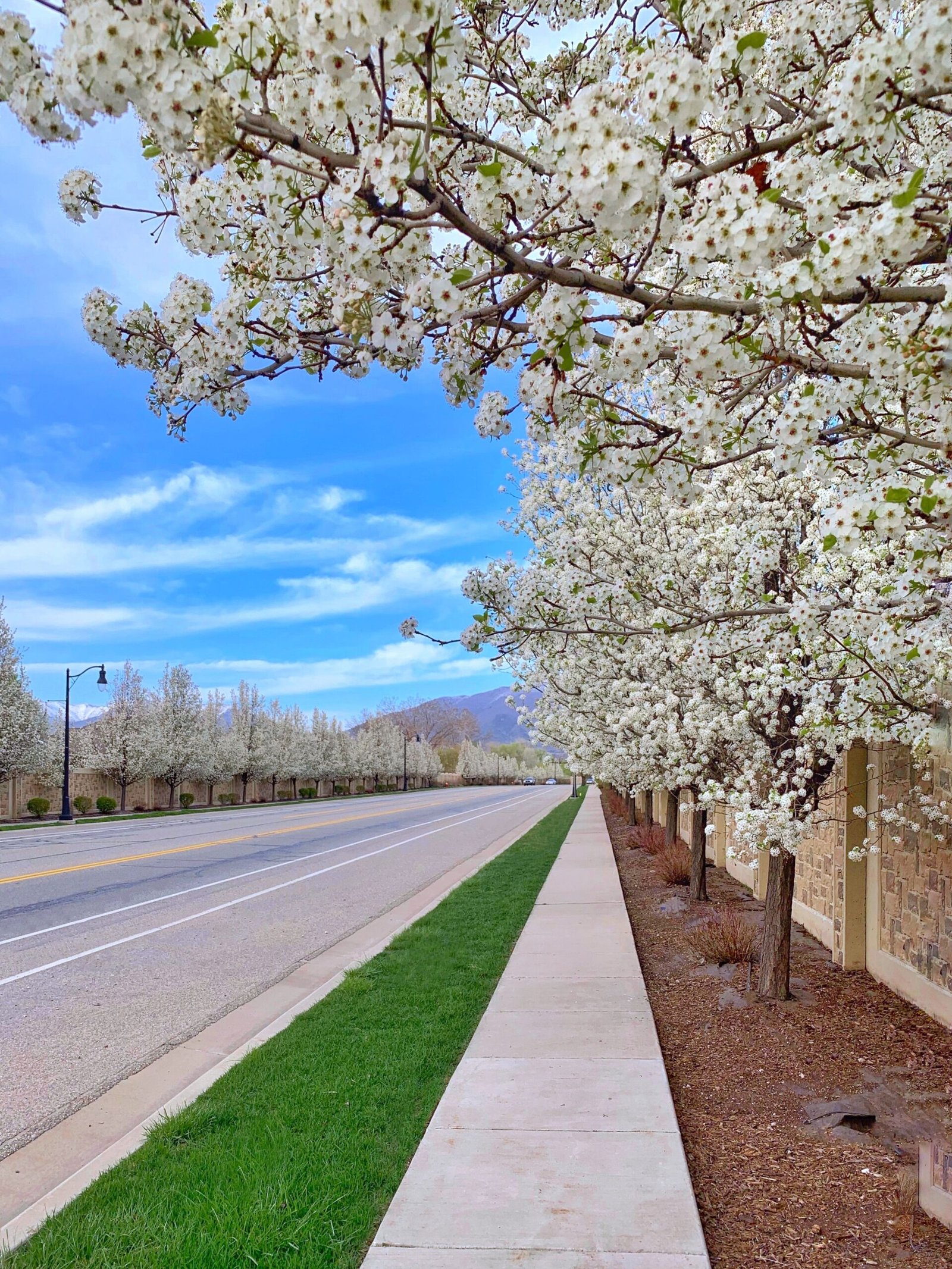 best places to visit in spring