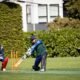ellyse perry