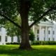 Donald Trump News